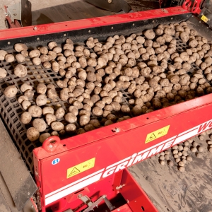 التدريج و الفرز WG900 من Grimme