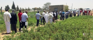 دعوة عامة لليوم الحقلى الارشادى المشترك لشركة اتش زد بي سي HZPC يوم الخميس الموافق 20 يونيو2013 فرنجي  وذلك بالتعاون مع إدارة التعاون و  الإرشاد و الإعلام الزراعي
