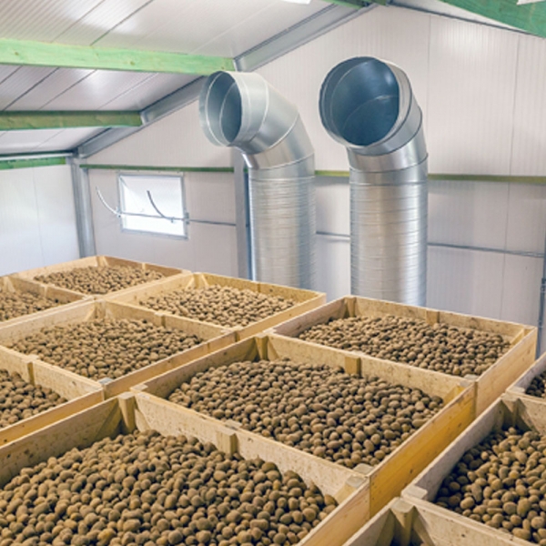 Tolsma Quadro Compact Cooler